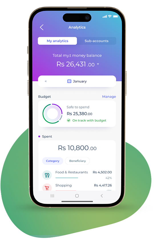 Personal Financial Manager image